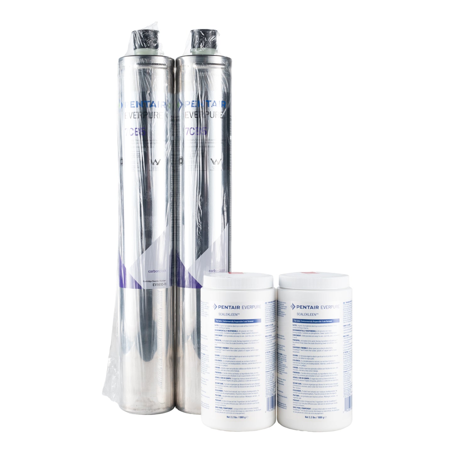 Pentair | Système de filtration double Kleensteam II d’Everpure