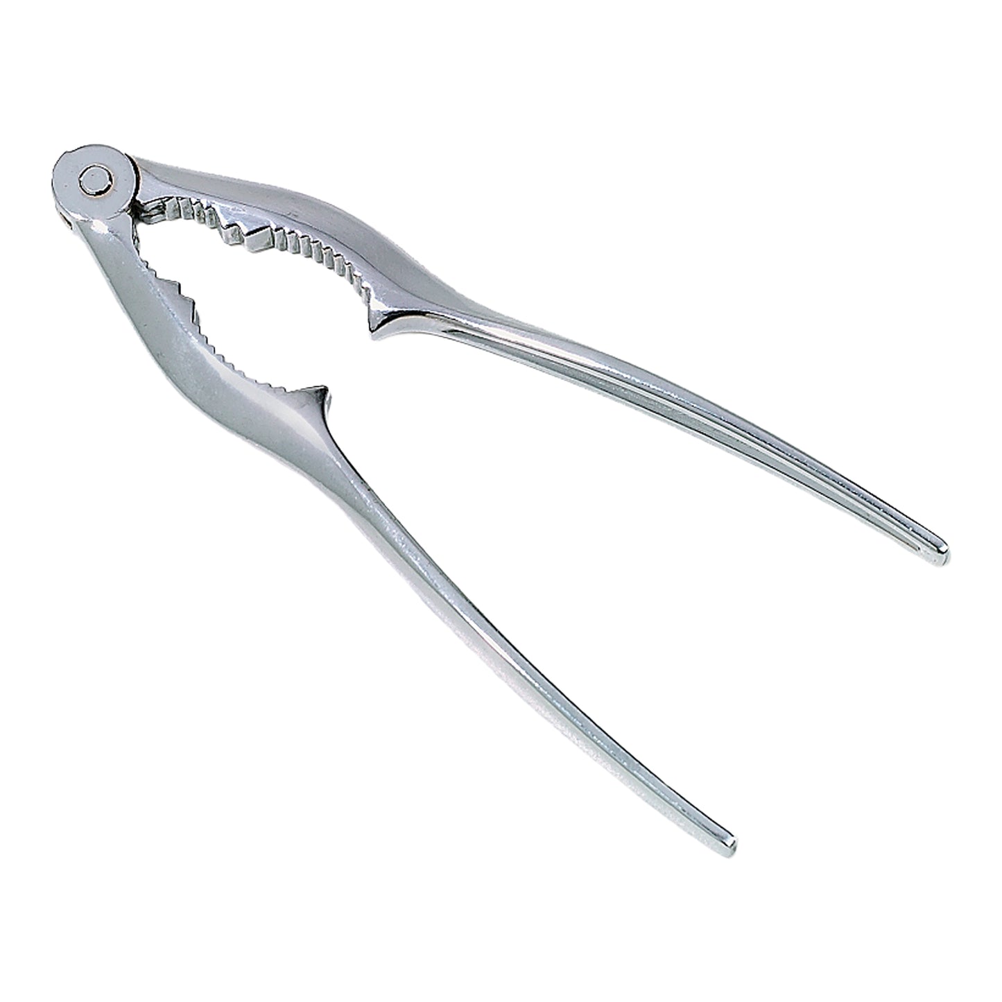 Browne | Craque homard, 6", chromé