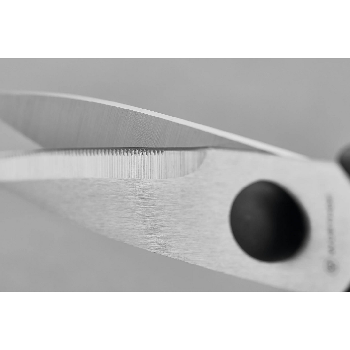 Wusthof Kitchen Shears, 8", Black - 1049594907