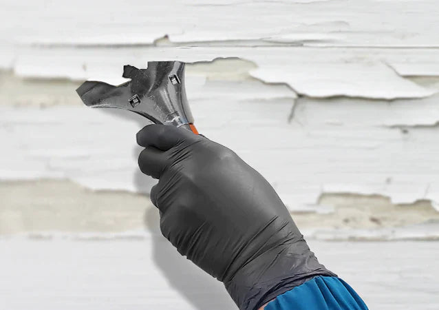 Globe Heavy Duty Scraper, 4" Blade - 4200