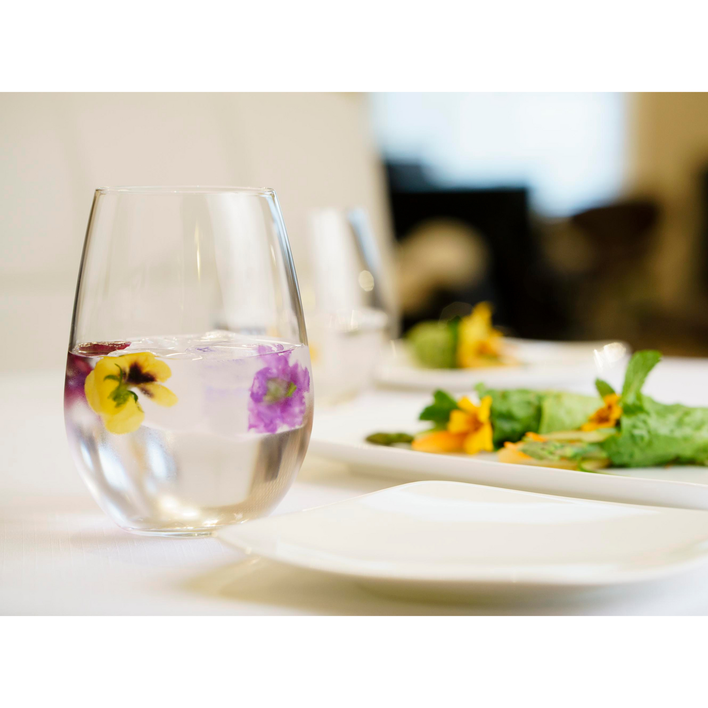 Reserve by Libbey Renaissance Stemless Wine Glass, 16 oz (12-pack) - 9015