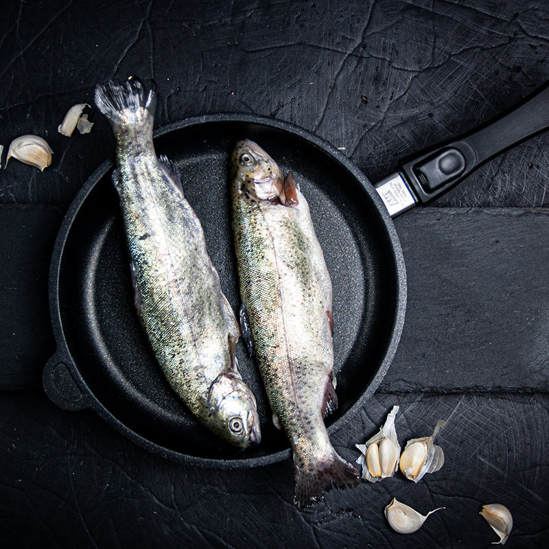 AMT | Poêle à induction, 11 po