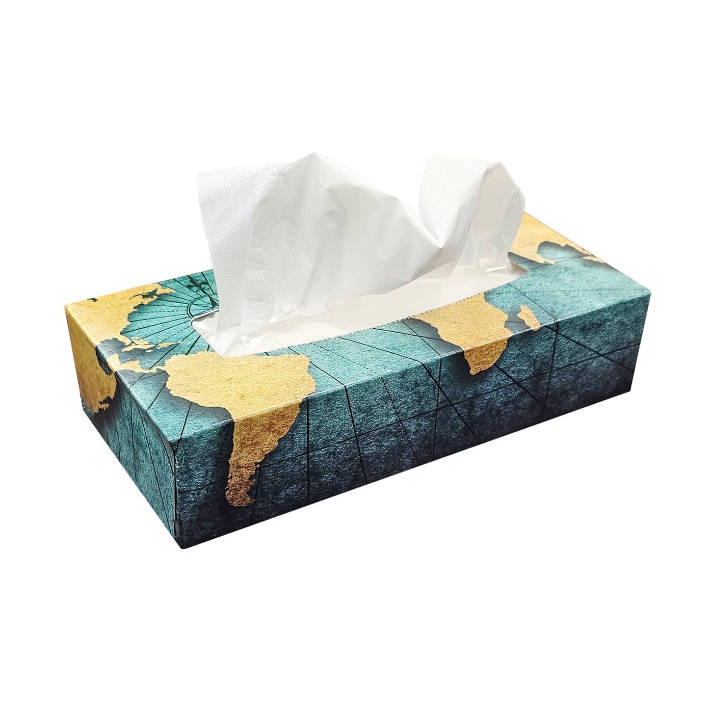 Globe Facial Tissue (30-pack) - FT100