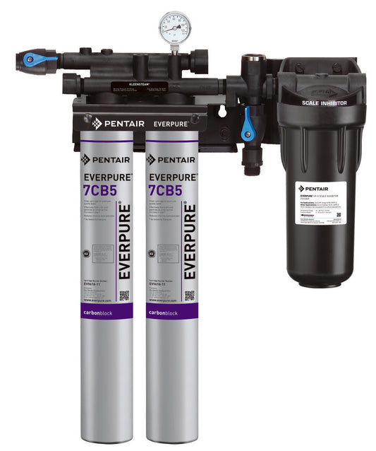 Pentair Everpure Kleensteam II Twin Filtration System - EV9797-22
