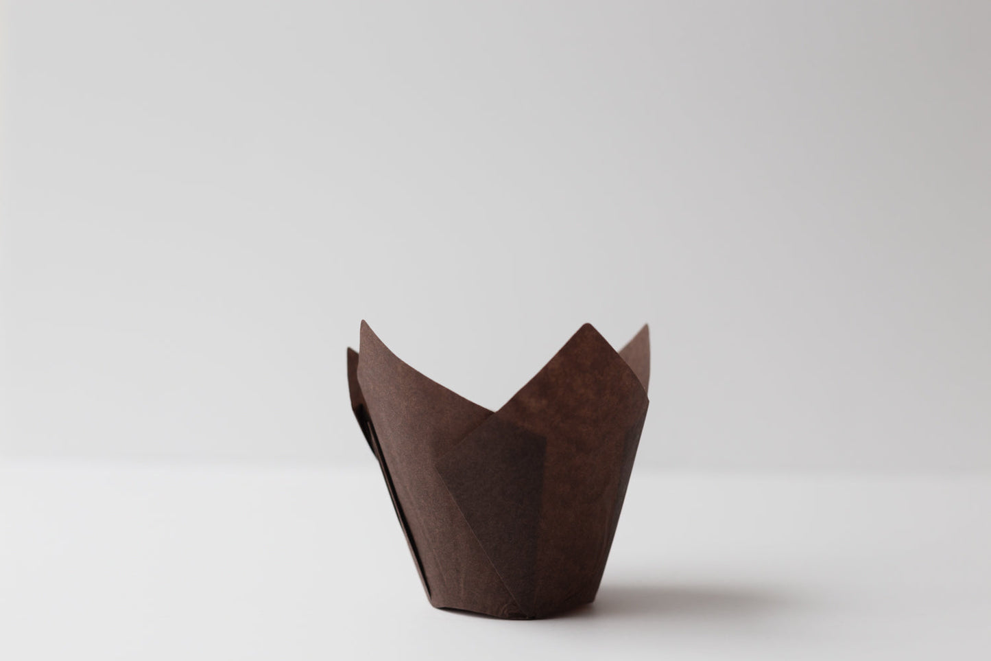 Enjay brown tulip baking cup