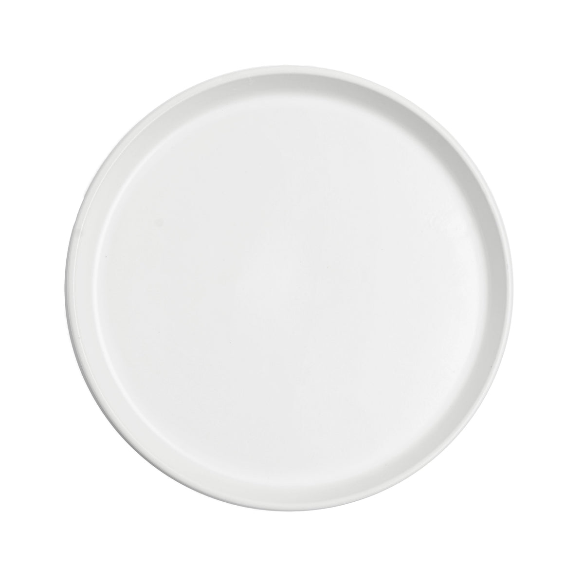 Santa Anita Reflections Glacier Gourmet Plate, 9.5" (12-pack) - FP258