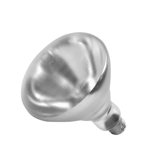 Shat-R-Shield | Shatter-Resistant Incandescent Light Bulb, R40, 250W