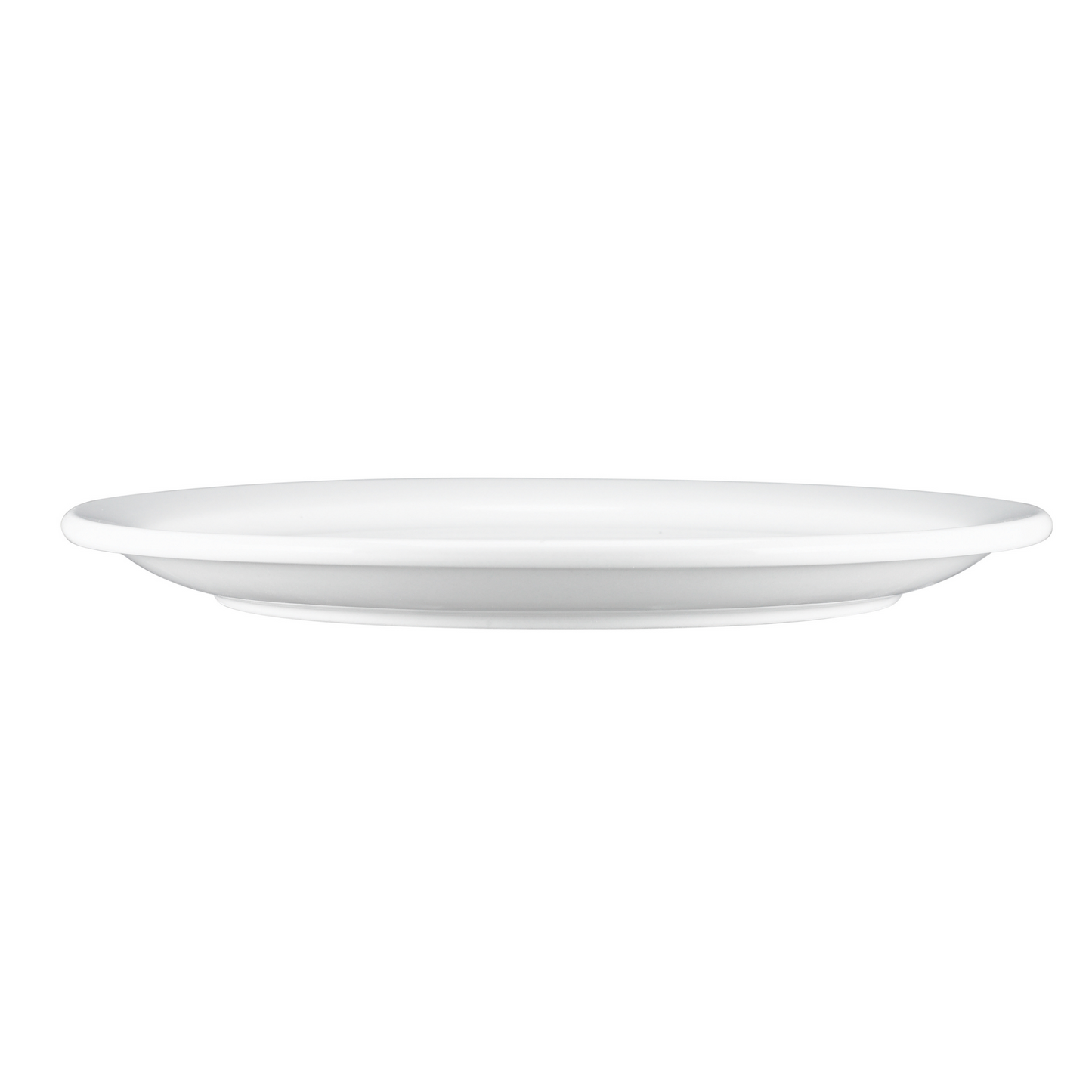 Browne | Palm Dinner Plate, 9.5", White (24-pack)