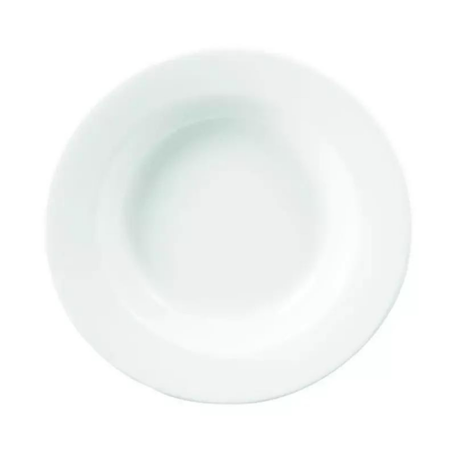 Dudson | Arcoroc Eternity Plus Soup/Pasta Plate, 11 3/8" (12-pack)